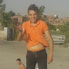 مصطفى مجدى الحلوانى