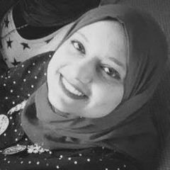 Dina T. Nassar