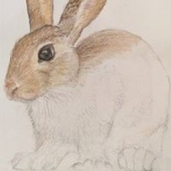 Alissa Bick Ehrenkranz