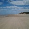 paradisemuso