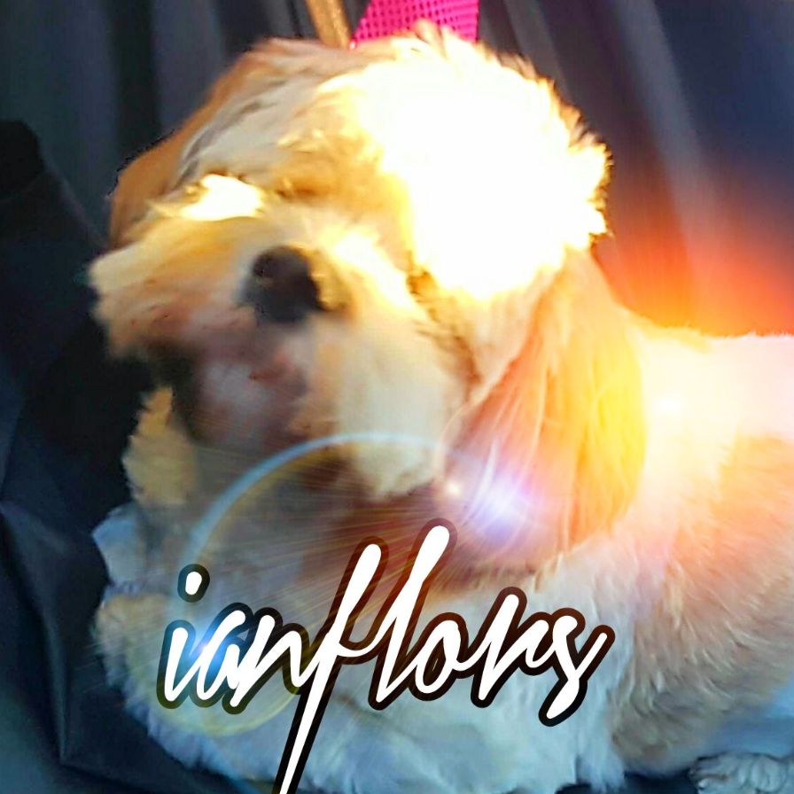 IANFLORS podcast artwork