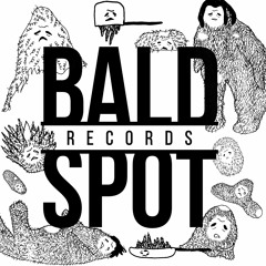 Bald Spot Records