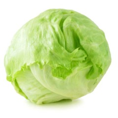 lil lechuga