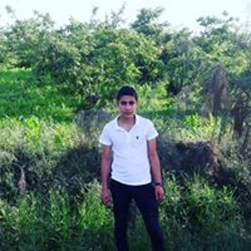 Ahmed Elkady’s avatar