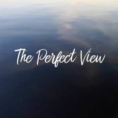 The Perfect View