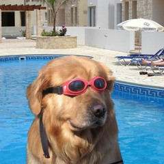 Minecraft Parody- Diamond Sword To Major Steve