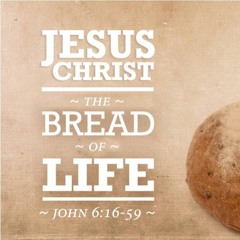 VN Bread of Life