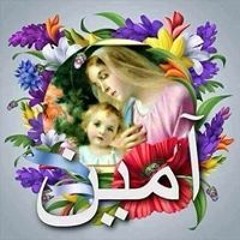 امين سامى