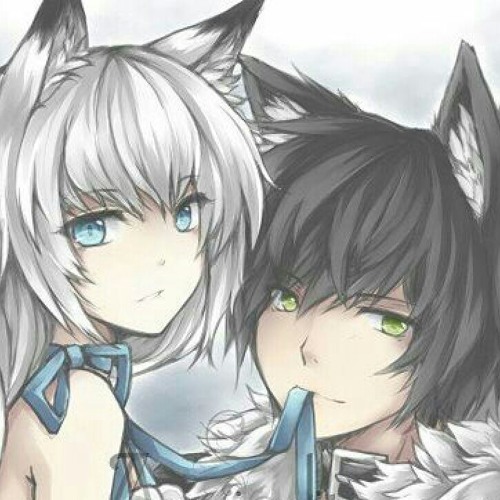 NightStep Wolfy’s avatar