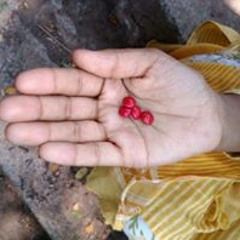 Riswan Ilaveyil Chokkan