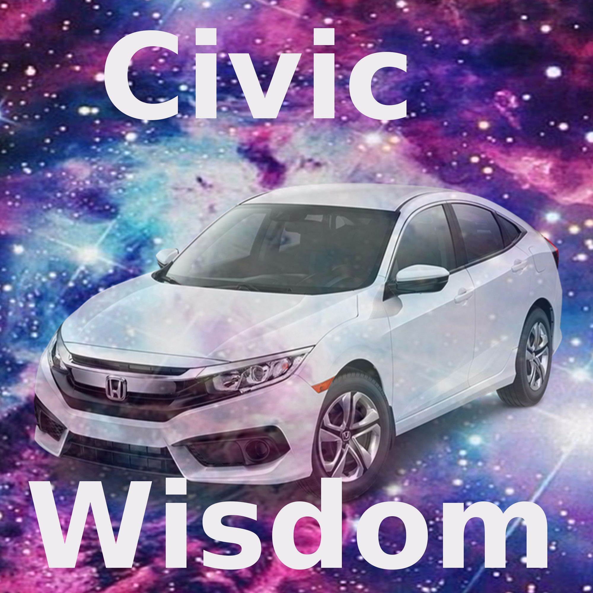 Civic Wisdom