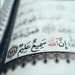 hany hamdy