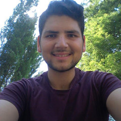 Paina Florin