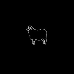 Black Sheep Collective