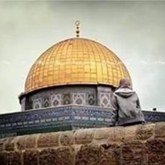 nadasherif