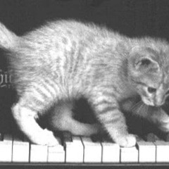 Man with bad piano skill