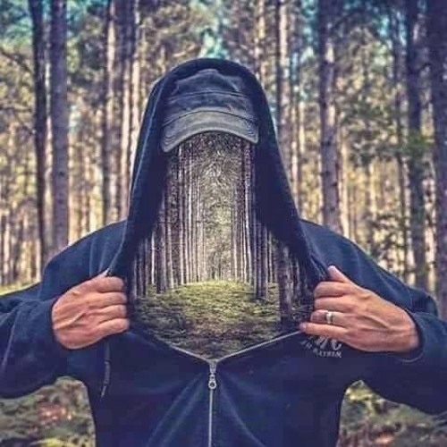 Musical forest’s avatar