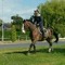 noisettehorselove