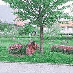 채현