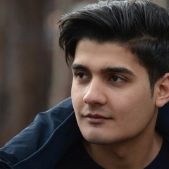 Van_WILL