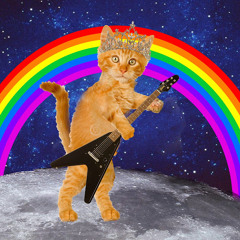 Ginger Kitteh