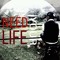 Shazrul Faiz
