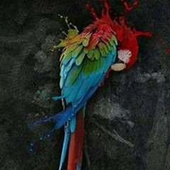 Hussam Alhadi M Zain