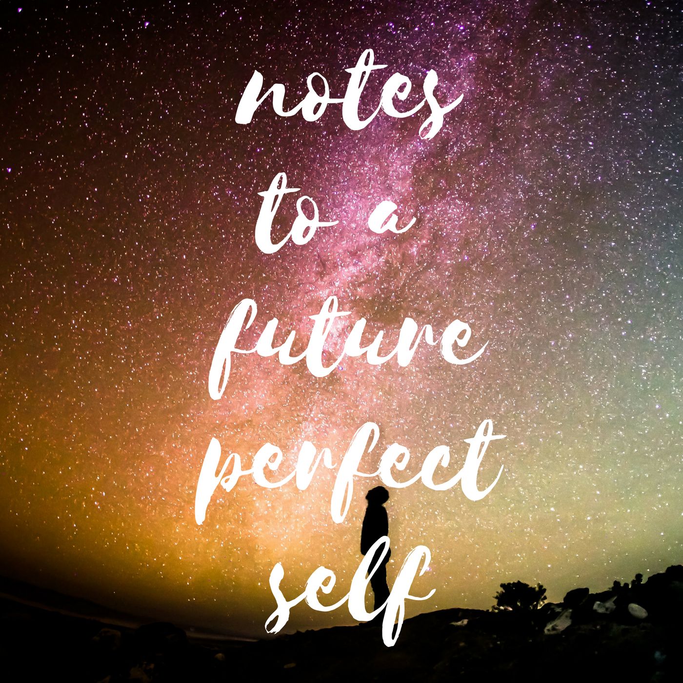 notes to a future perfect self