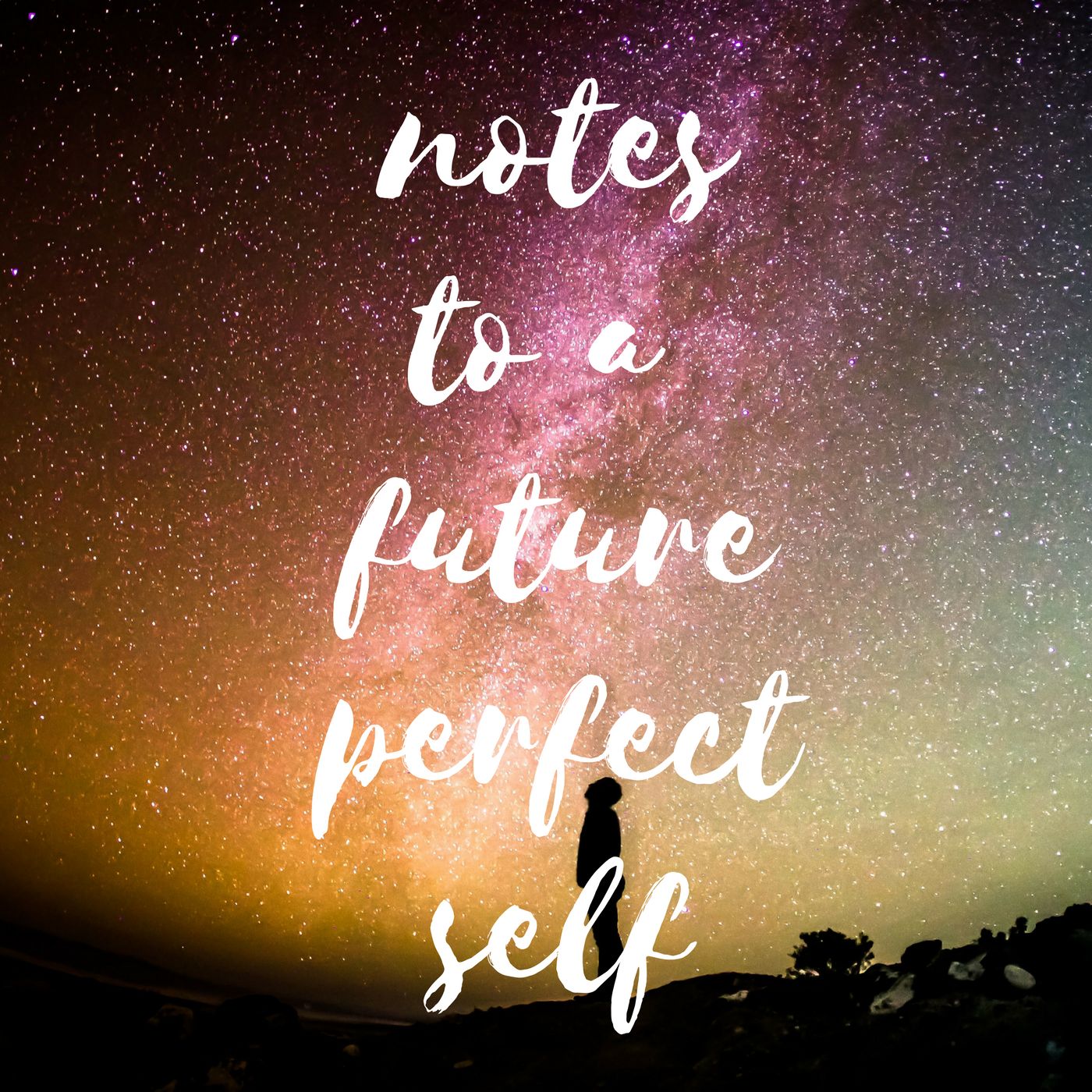 notes to a future perfect self