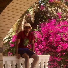 Mohanad Hossam