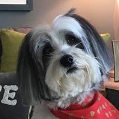 Andrea Jeanmenne Huston