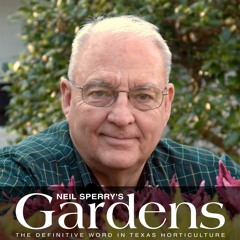 December 4, 2021 - 1PM KLIF