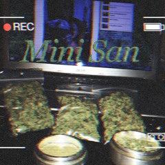 Mini San 77120