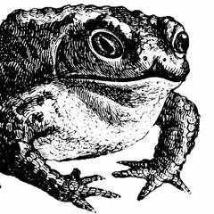 ToadLeNior