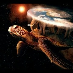 FRANKY (funkyjellybeans)