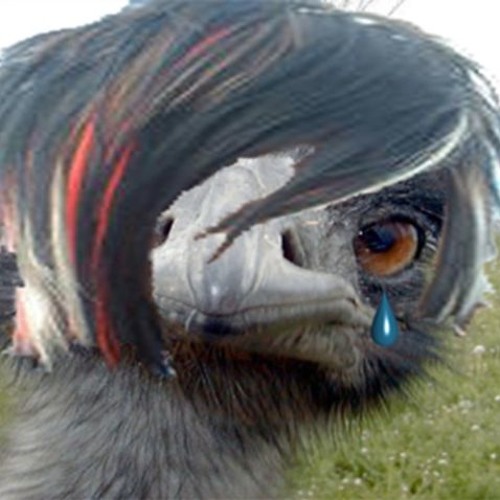 EMO BIRD IS MINE