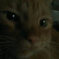 Rebecca Smith Crider