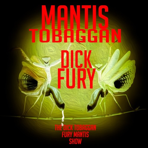 THE DICK TOBAGGAN FURY MANTIS SHOW’s avatar