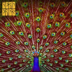 The Dead Ends - My Wild Love (The Doors cover)