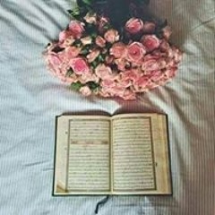 คცძคՆՆคҺ ઽคɿ੮૦υՈ