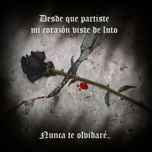 Eclipse By Rosa Sanchez Rodriguez On Soundcloud Hear The World S Sounds