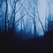 xmoonlightx