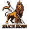 selecta BLONDI 👉🏽 ROAD WARRIOR SOUND