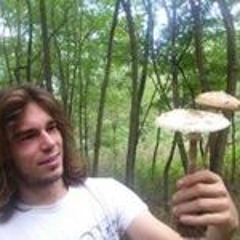 TEKKTONIK