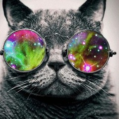 Le Wanski - Arya Tara (Zeubi triste REMIX)