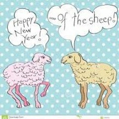 sheepjune