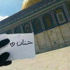 عذرا لكني وعدتها