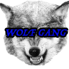 ZONE3MUSIC_WOLFGANG