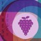 Fermented Juice