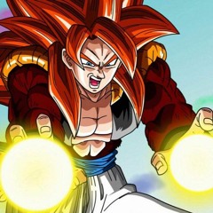 Zokai Trunamee